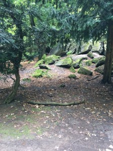 Wortezauber Zauberwald