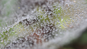 Wortezauber, authentische Texte, Texter, Texterin, Rechte: Yvonne Mitschka