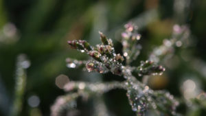 wortezauber_design_rechte_yvonne_mitschka