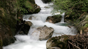 wortezauber_website_bach_rechte_yvonne_mitschka