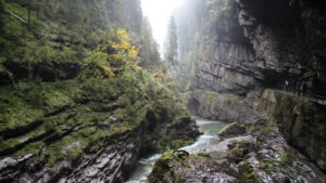 wortezauber_web_website_felsen_rechte_yvonne_mitschka