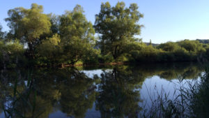 Wortezauber Web, Website, Rechte: Wortezauber